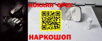 гашик Тара