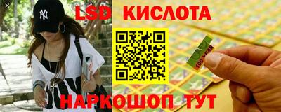гашик Тара