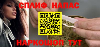 гашик Тара