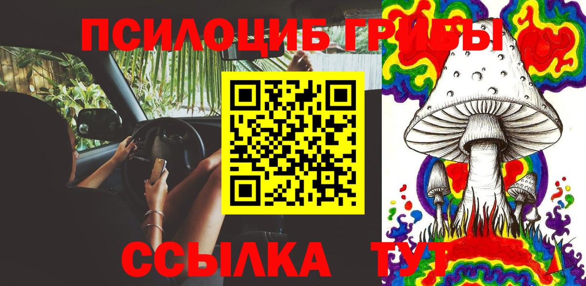 Галлюциногенные грибы мицелий  Галлюциногенные грибы GOLDEN TEACHER  Саров  купить наркоту  Вход с VPN 
